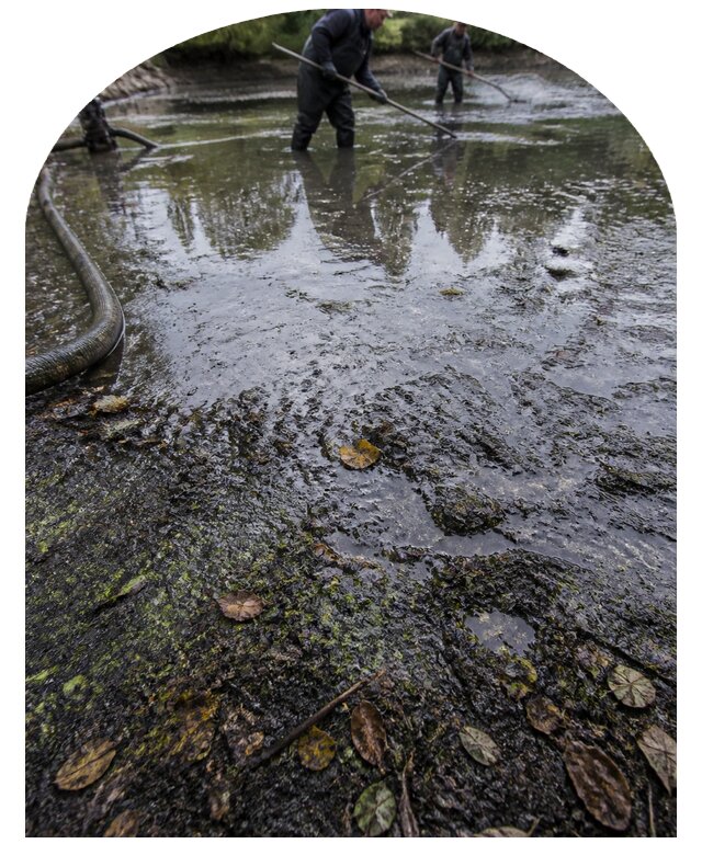Очистка пруда в Новотроицке от ила мусора и водорослей с вывозом